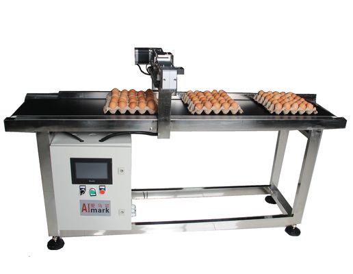 E5 400W X Traverse System Egg Coding Conveyor Machine สําหรับการรหัสวันที่