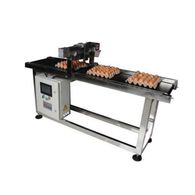 PLC การควบคุมวันที่การพิมพ์ CIJ TIJ เข็มขัด Egg Coding Conveyor